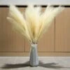 Erba Della Pampas Artificiale Decorative, 3 Set 110cm Erba Di Pampa Finta Grandi Alte Essiccata Fiori Boho Beige Piume, Naturale Secchi Per Decorazioni Natale Casa Nozze Interno