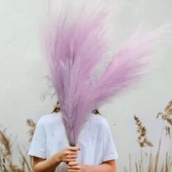 3 Pezzi Erba Della Pampas Secca Decorative, 110 Cm Pampas Alte Piume Decorative Per Vaso, Boho Viola Colore, Per Decorazioni Natale Interno Casa Nozze 8 3 Pezzi Erba Della Pampas Secca Decorative, 110 Cm Pampas Alte Piume Decorative Per Vaso, Boho Viola Colore, Per Decorazioni Natale Interno Casa Nozze -Vendite VIDAXL 87878341 4