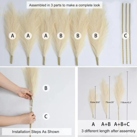 3 Pezzi Erba Della Pampas Secca Decorative, 110 Cm Pampas Alte Piume Decorative Per Vaso, Boho Viola Colore, Per Decorazioni Natale Interno Casa Nozze 5 3 Pezzi Erba Della Pampas Secca Decorative, 110 Cm Pampas Alte Piume Decorative Per Vaso, Boho Viola Colore, Per Decorazioni Natale Interno Casa Nozze - immagine 5