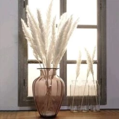 LITZEE30 Pz Erba Di Pampa, Erba Di Pampa Naturale Erba Di Pampa Essiccata Erba Phragmites Mazzo Di Fiori Secchi Decorazione Della Casa -Vendite VIDAXL 88936471 4