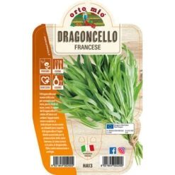 ORTO MIO Dragoncello