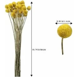 LITZEE Pianta Verde Artificiale 40 Steli Fiori Secchi Naturali Fiori Secchi Craspedia Billy Button Balls Bouquet Floreale Per Natale Matrimonio Inverno Decorazione Floreale Domestica -Vendite VIDAXL 96300407 2
