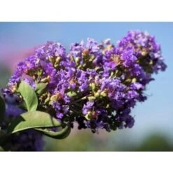 Vendite VIDAXL -Vendite VIDAXL 9670891 2