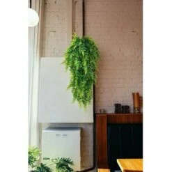 Piante Artificiali, 2 Pezzi Felce Di Boston Decidua Interni Esterni Decorazione Di Nozze Parete Simulazione Erba Persiana Vite Appesa Felce Artificiale Vite Pianta Verde Appesa -Vendite VIDAXL 97887878 5