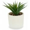 Pianta Decorativa Bianco Plastica (14 X 9 X 14 Cm)