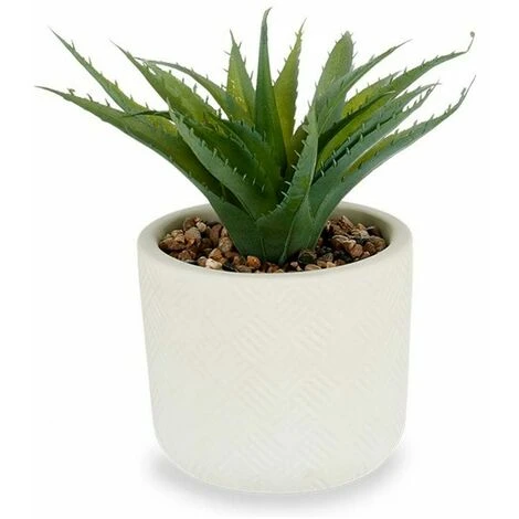 Pianta Decorativa Bianco Plastica (14 X 9 X 14 Cm) 1 Pianta Decorativa Bianco Plastica (14 X 9 X 14 Cm)