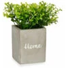 Pianta Decorativa Grigio Cemento Verde Plastica 13 X 20 X 13 Cm