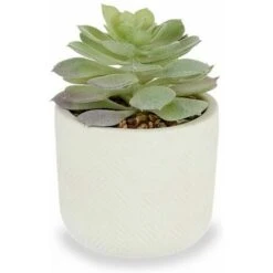 Pianta Decorativa Bianco Verde Plastica